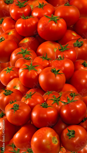 many ripe tomatoes