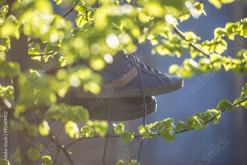 Obraz na płótnie shoes on a tree w salonie
