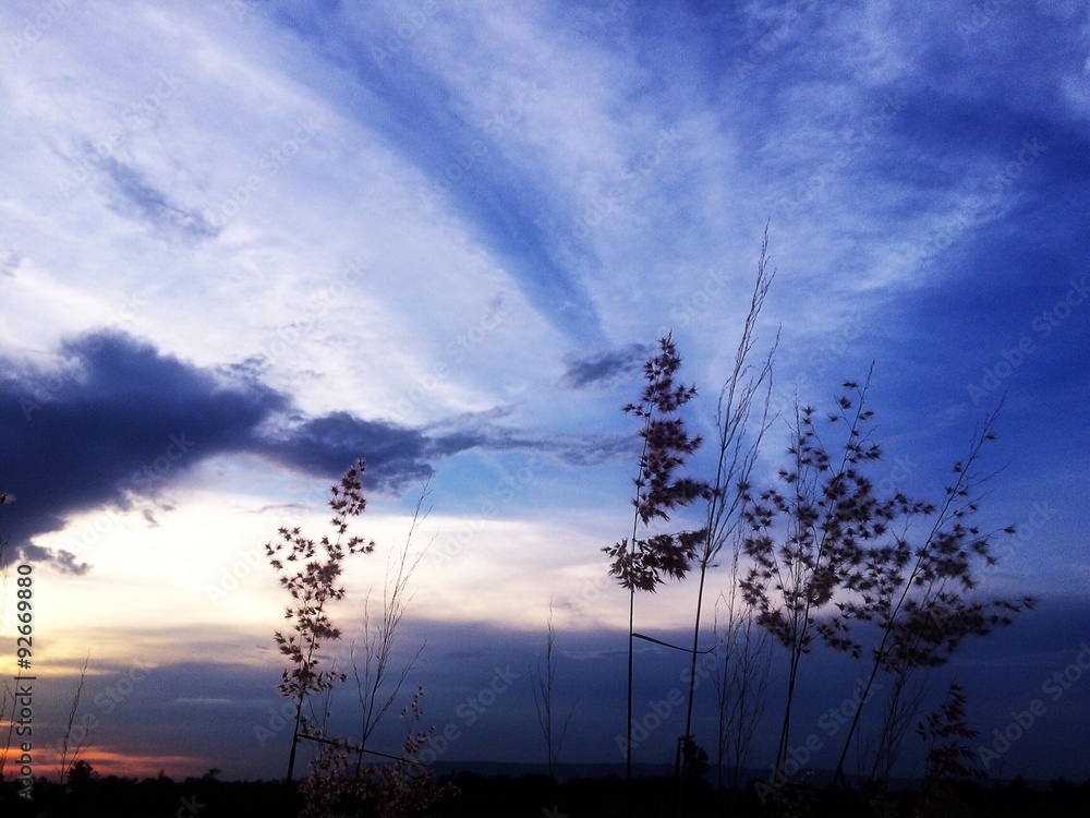 soft of sky soft of sky