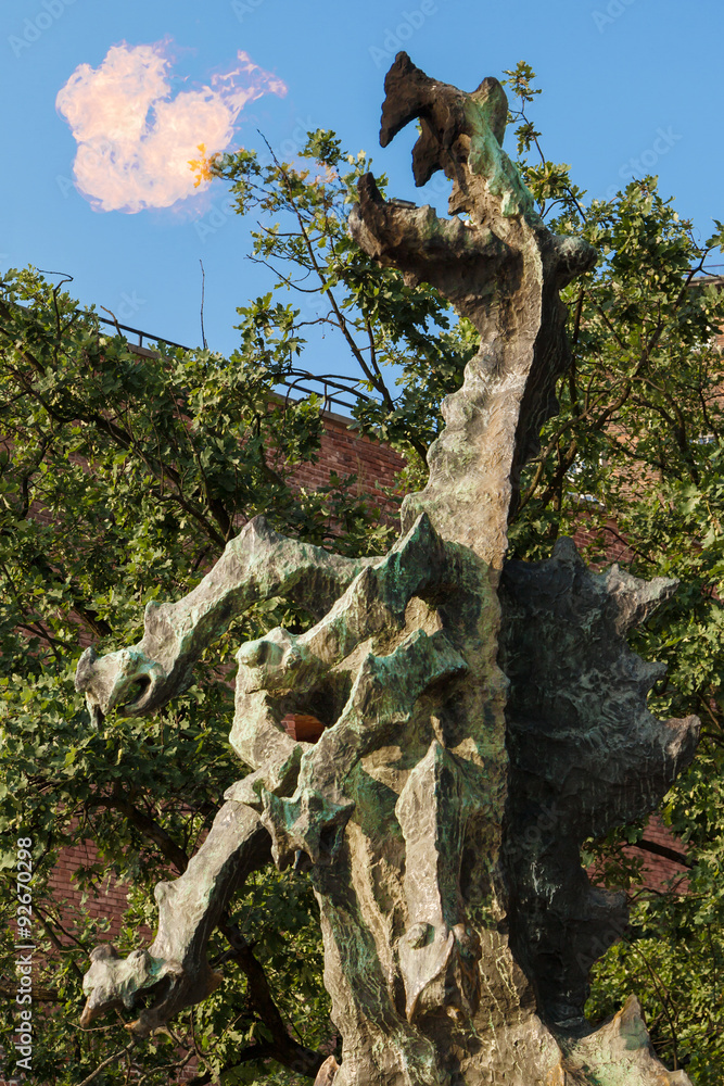 Fototapeta premium Wawel Dragon