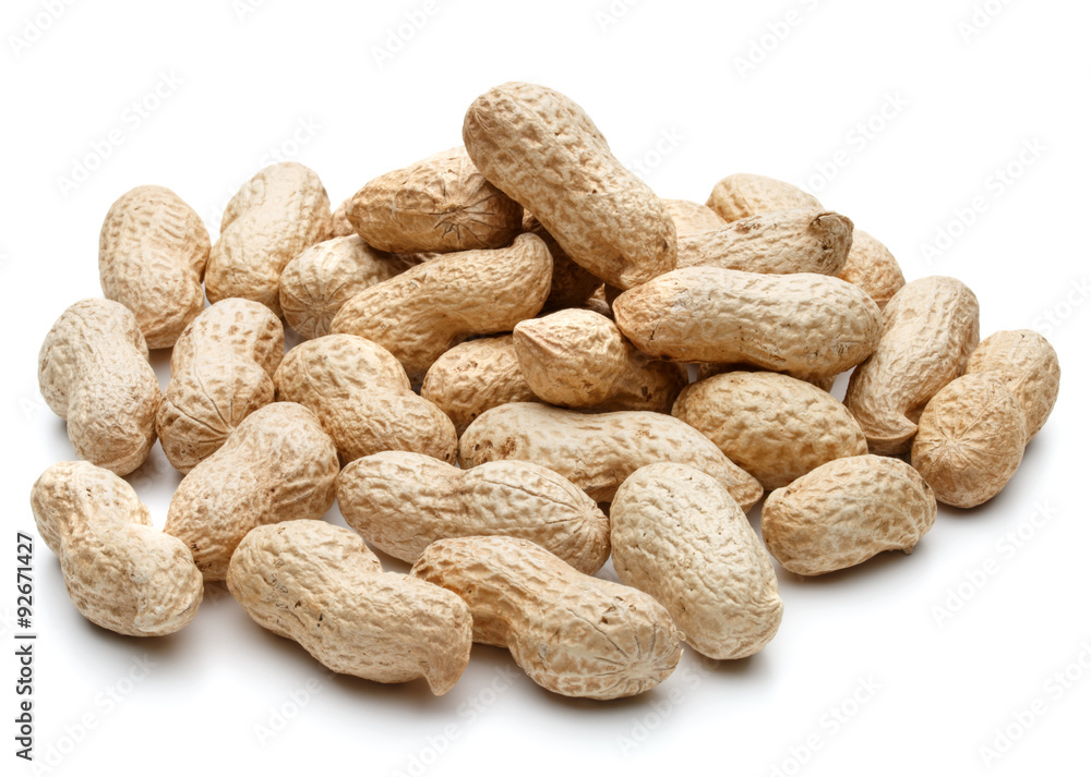 peanut pod or arachis isolated on white background cutout peanut pod or arachis isolated on white background cutout