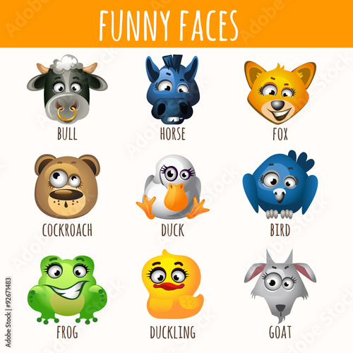 Animal funny faces