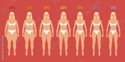 Stages of woman slim with fat percent