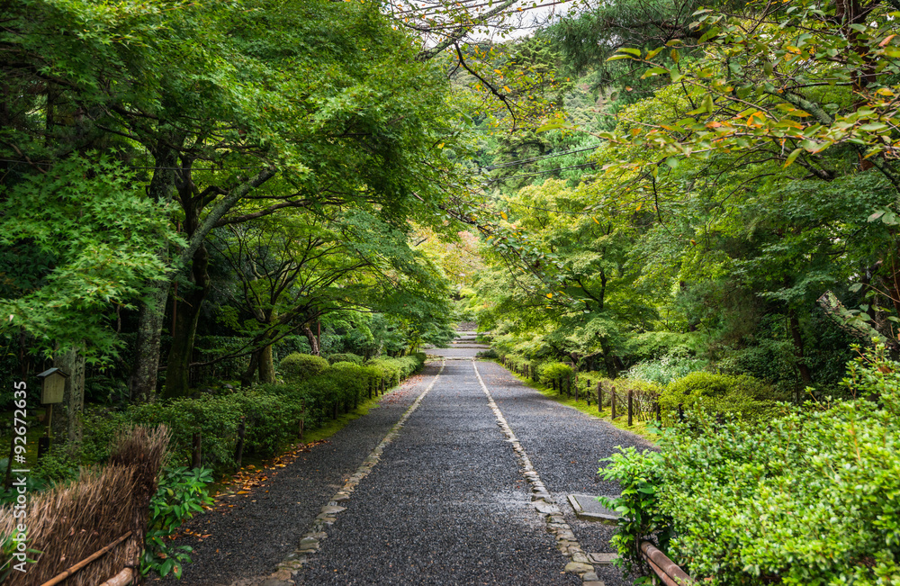 京都　二尊院　紅葉の馬場