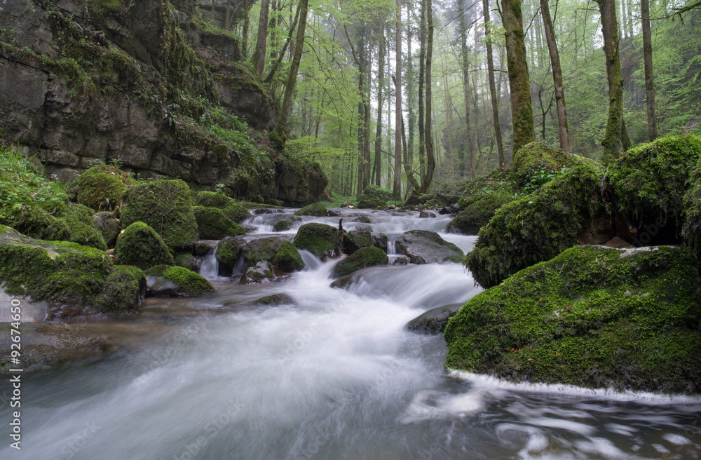 Obraz premium Chaltbrunnental