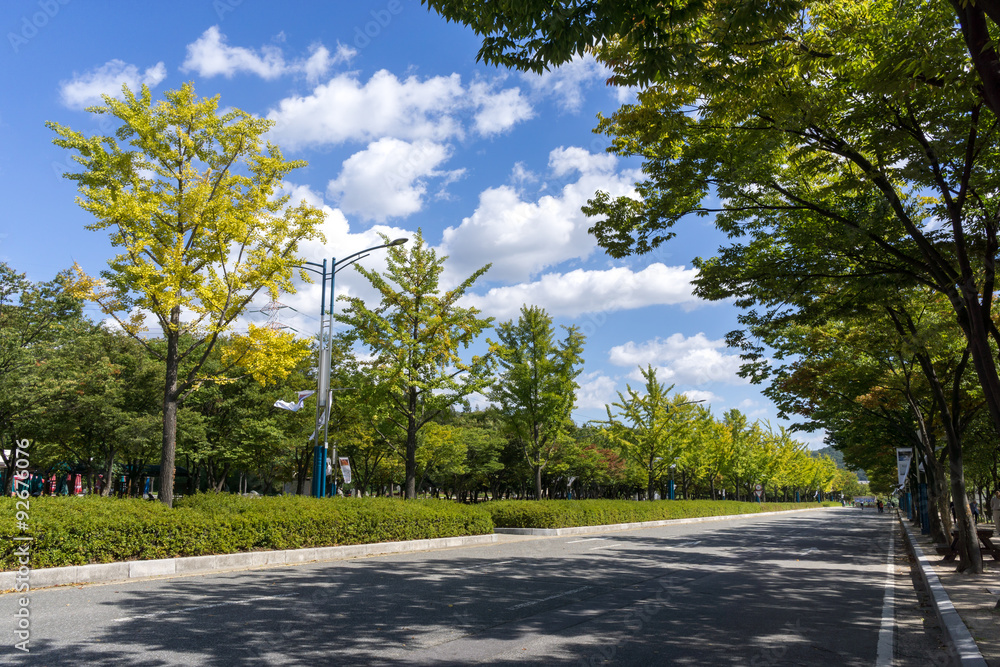 Obraz premium Incheon Grand Park early autumn