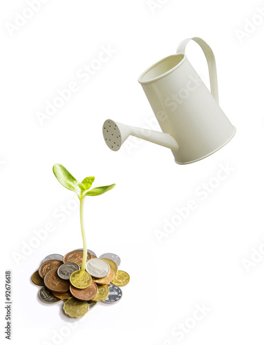 Watering a tree with growing coins