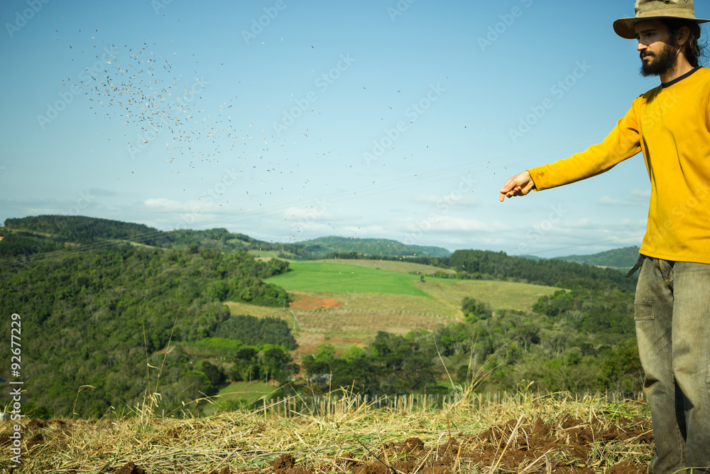 Fototapeta premium Farmer Spreading Seeds