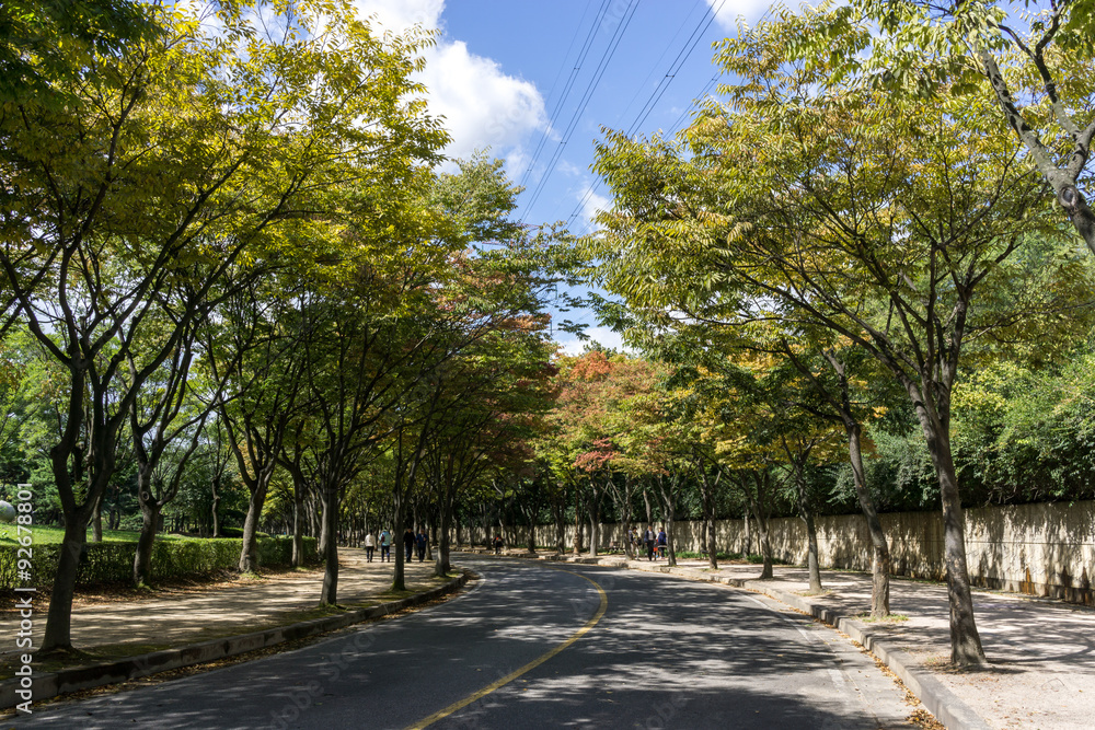 Incheon Grand Park early autumn