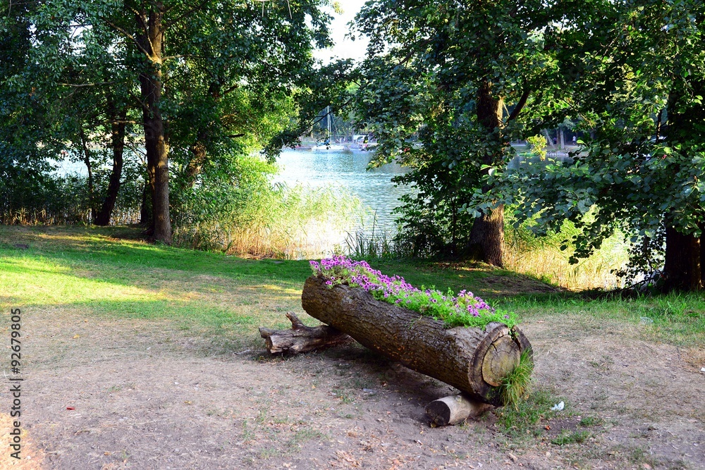 Fototapeta premium Galves lake,Trakai old red bricks castle view