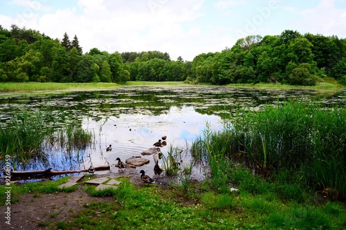 Green lake in Vilnius city near Santariskes