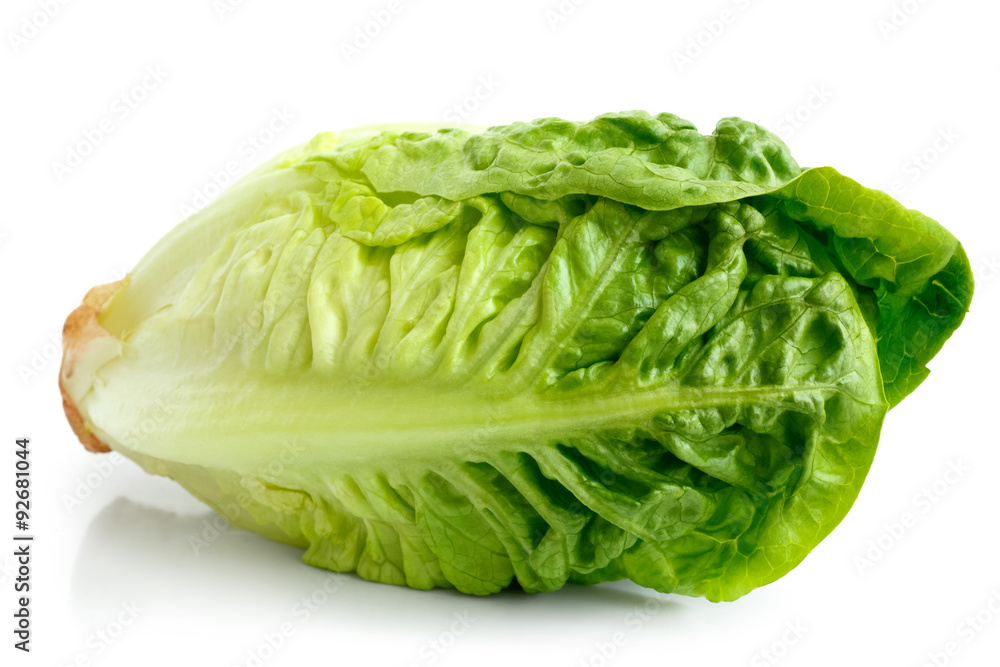 Single gem lettuce isolated on white background. Single gem lettuce isolated on white background.