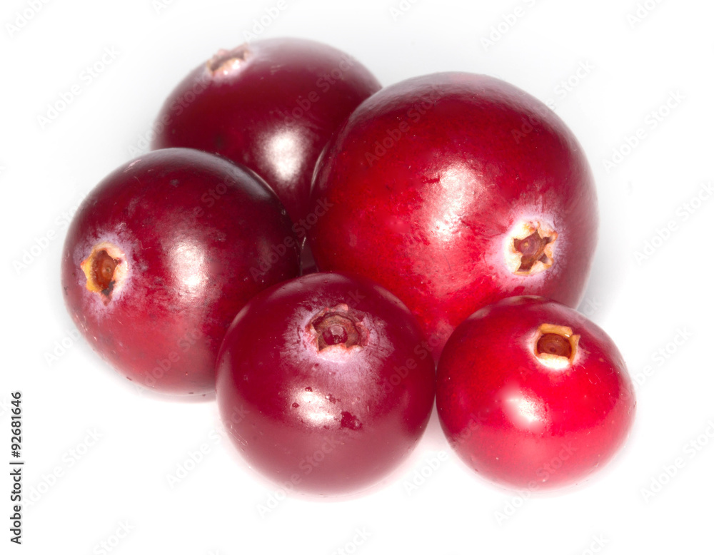 cranberry isolated