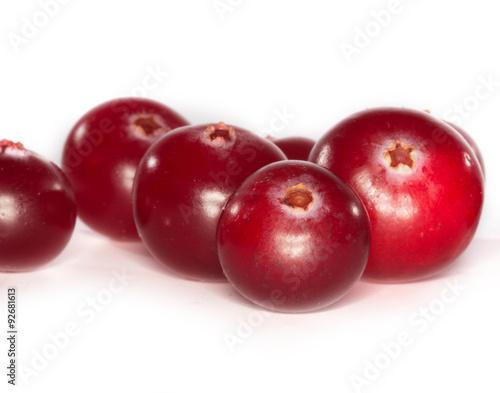 cranberry isolated