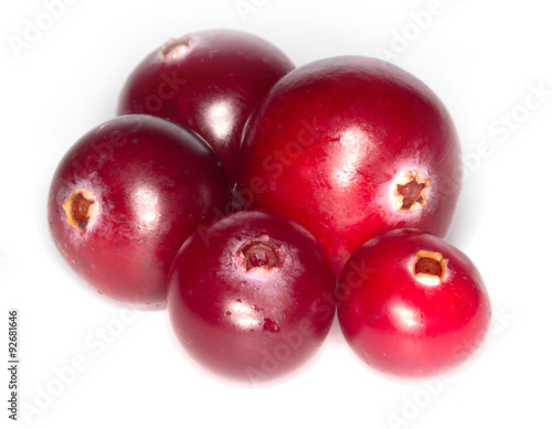 cranberry isolated © lewal2010