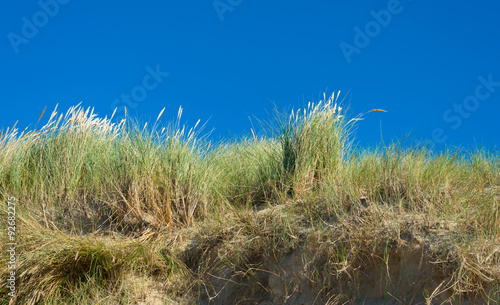 Dunes under a blue sky in autumn