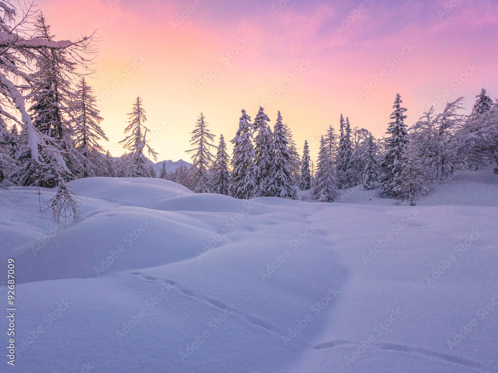 Beautiful winter landscape with snow covered trees Beautiful winter landscape with snow covered trees