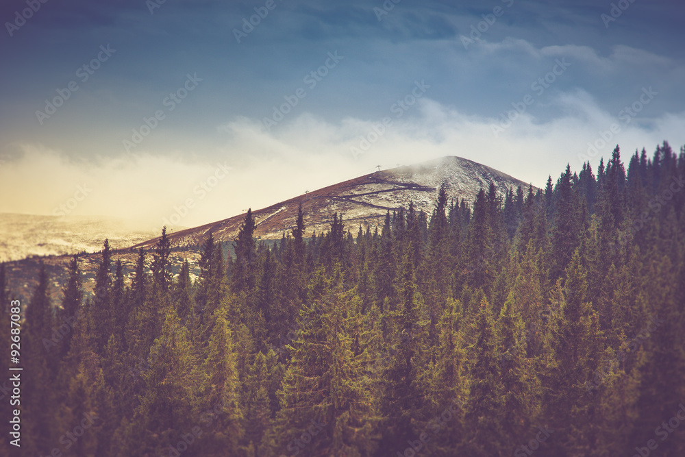 Autumn trees in the forest and snow-covered mountain in the distance. Autumn trees in the forest and snow-covered mountain in the distance.