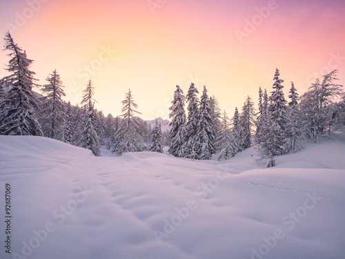 Beautiful winter landscape with snow covered trees © Kavita