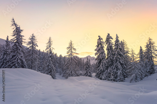 Beautiful winter landscape with snow covered trees © Kavita