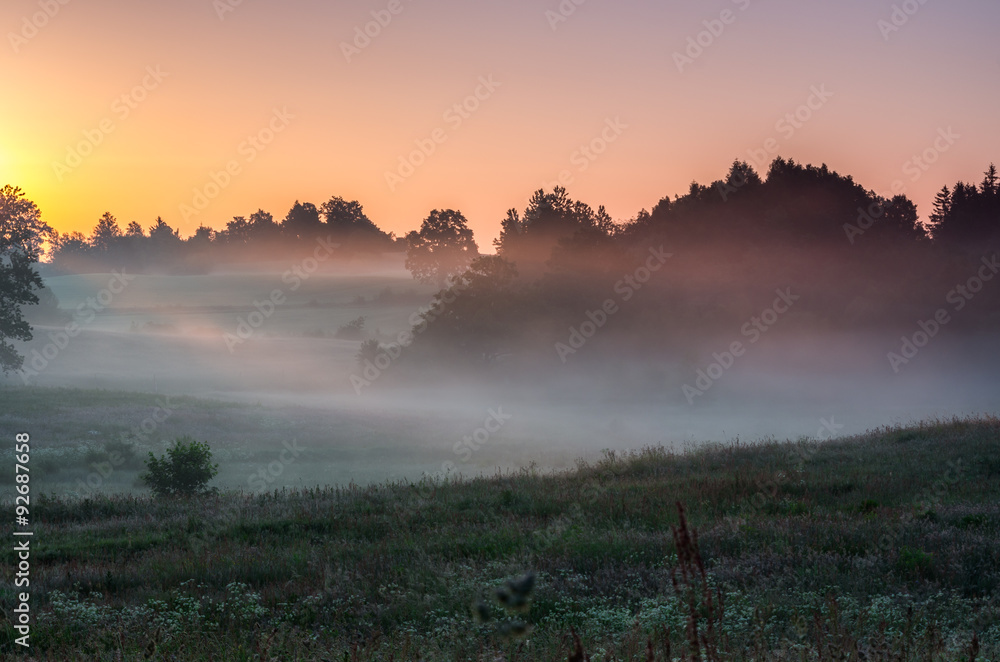 Obraz premium Mist drifts across the rural landscape illuminated by the rising sun, Pomerania, Poland