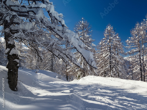 Winter landscape near Vogel ski center in mountains Julian Alps