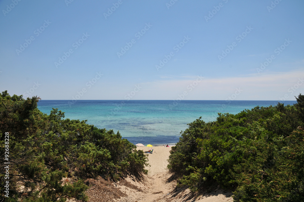 Le spiagge del Salento, Punta Prosciutto - Puglia Le spiagge del Salento, Punta Prosciutto - Puglia
