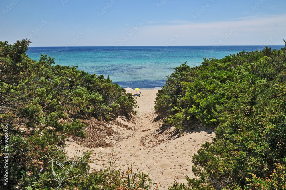 Le spiagge del Salento, Punta Prosciutto - Puglia Le spiagge del Salento, Punta Prosciutto - Puglia