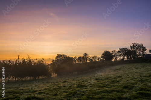 Misty sunrise in fields, Cornwall, uk