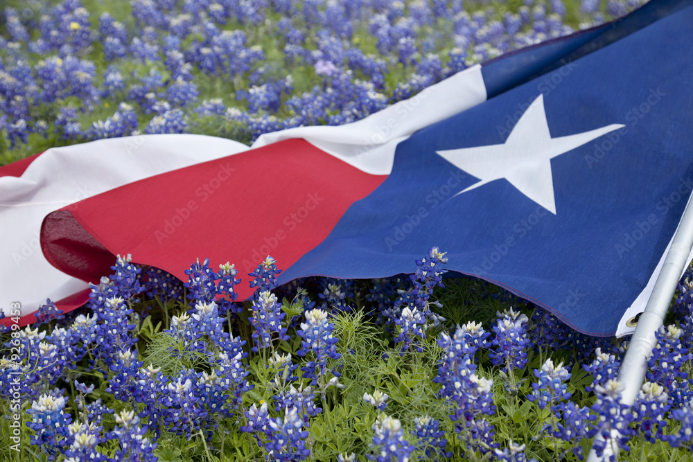 Obraz premium Texas flag among bluebonnet flowers on bright spring day