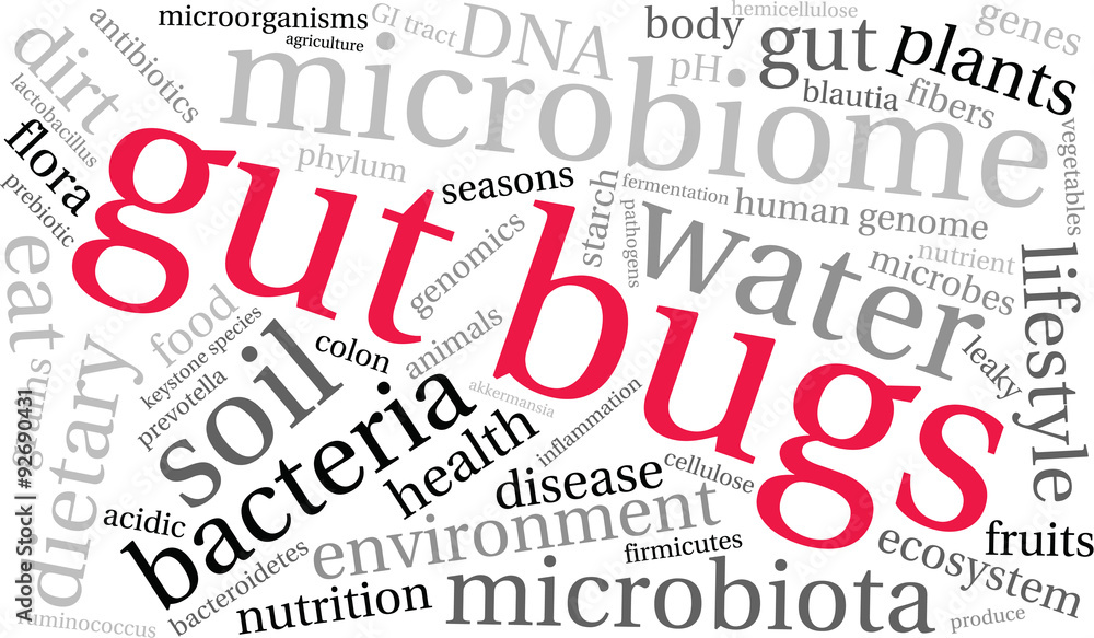Gut Bugs Word Cloud On a White Background. Gut Bugs Word Cloud On a White Background.