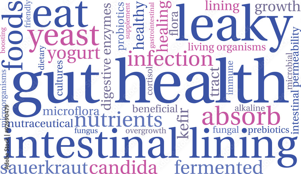 Gut Health Word Cloud On a White Background. Gut Health Word Cloud On a White Background.