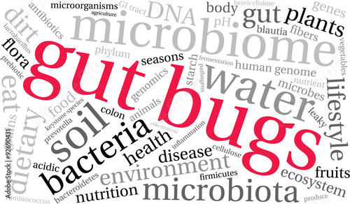 Gut Bugs Word Cloud On a White Background. 