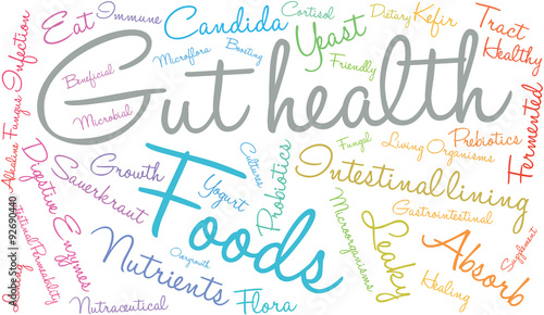 Gut Health Word Cloud On a White Background. 