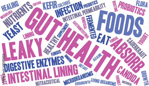 Gut Health Word Cloud On a White Background. 