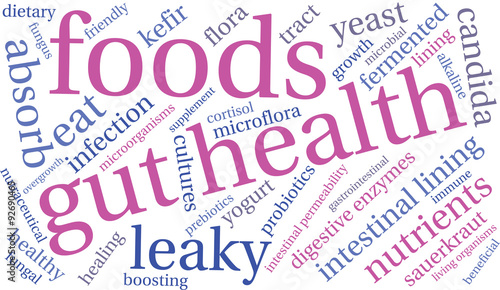 Gut Health Word Cloud On a White Background. 