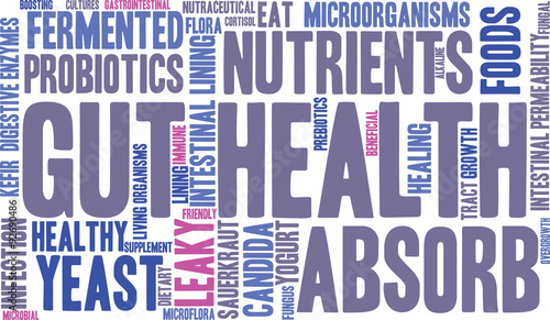 Gut Health Word Cloud On a White Background. 