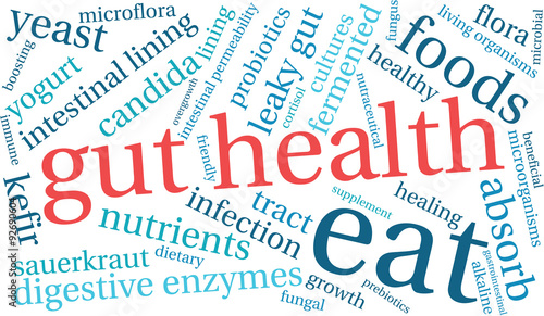 Gut Health Word Cloud On a White Background. 