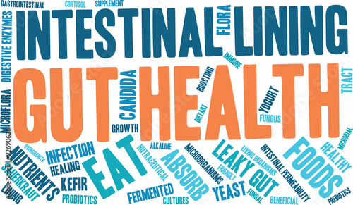 Gut Health Word Cloud On a White Background. 