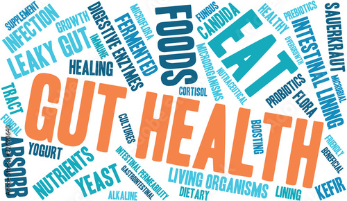 Gut Health Word Cloud On a White Background. 