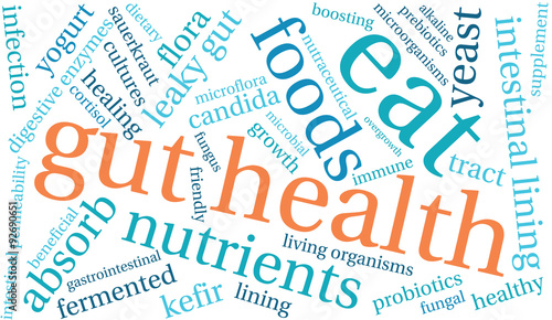 Gut Health Word Cloud On a White Background. 