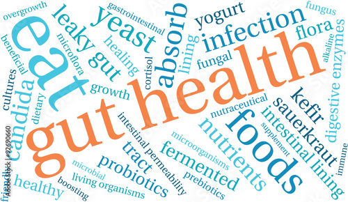 Gut Health Word Cloud On a White Background. 