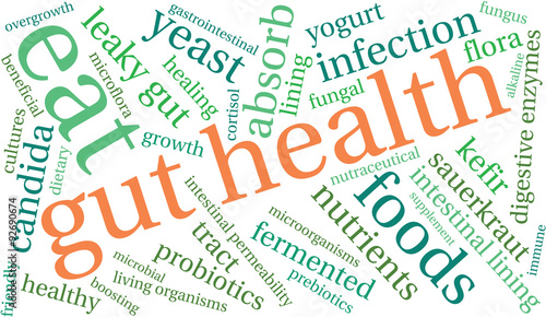 Gut Health Word Cloud On a White Background. 