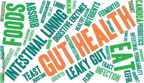 Gut Health Word Cloud On a White Background. 
