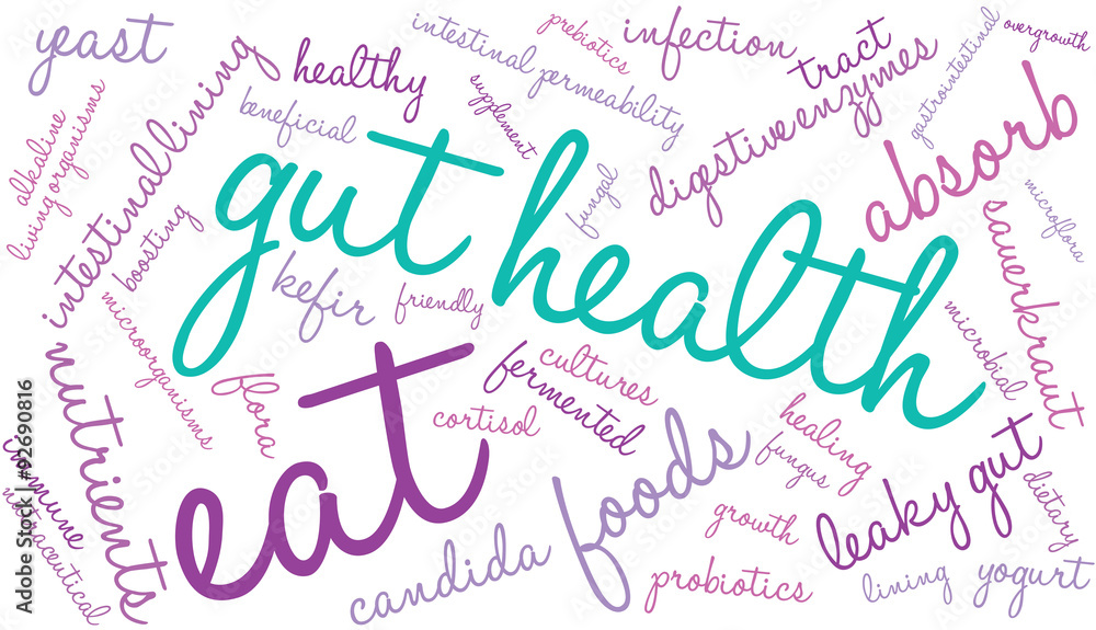 Gut Health Word Cloud On a White Background. 
