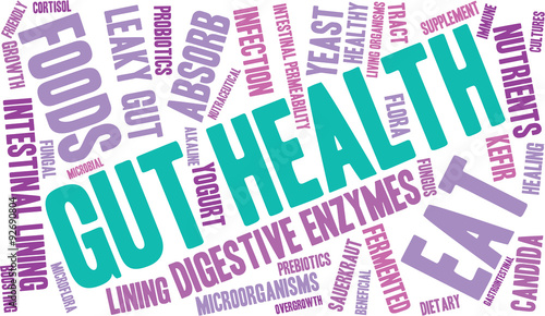 Gut Health Word Cloud On a White Background. 