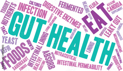 Gut Health Word Cloud On a White Background. 