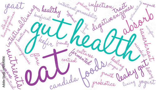 Gut Health Word Cloud On a White Background. 