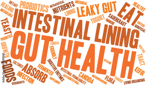 Gut Health Word Cloud On a White Background. 