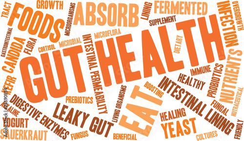 Gut Health Word Cloud On a White Background. 